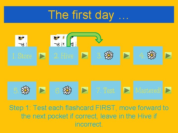 The first day … Step 1: Test each flashcard FIRST, move forward to the