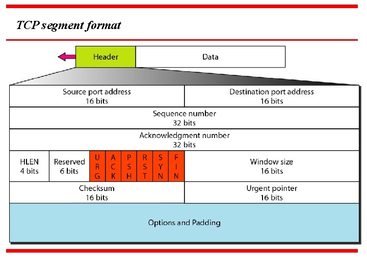 TCP segment format 