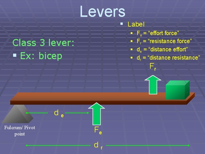 Levers § Label § § Class 3 lever: § Ex: bicep Fr de Fulcrum/