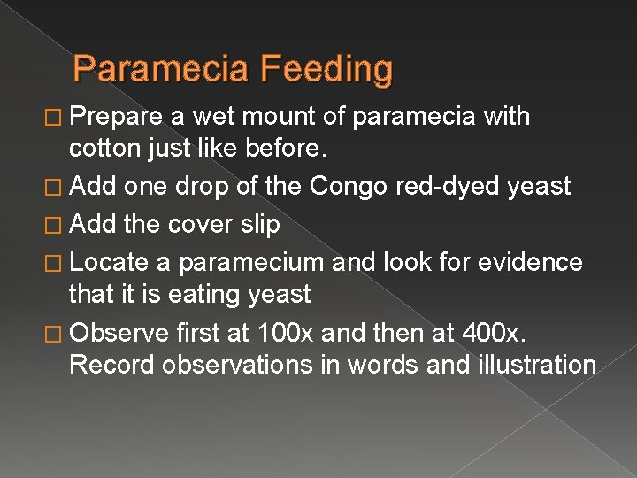 Paramecia Feeding � Prepare a wet mount of paramecia with cotton just like before.