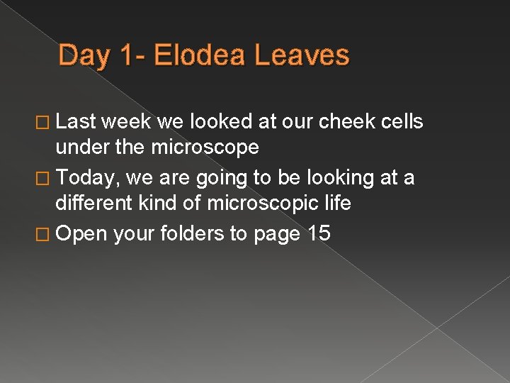 Day 1 - Elodea Leaves � Last week we looked at our cheek cells