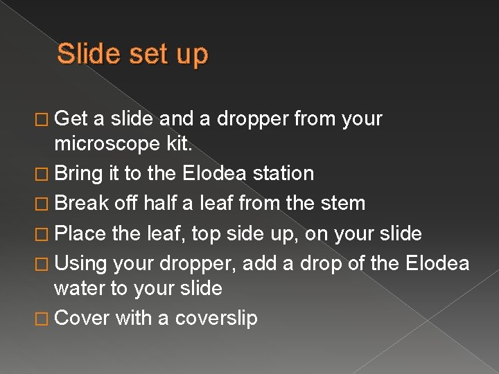 Slide set up � Get a slide and a dropper from your microscope kit.