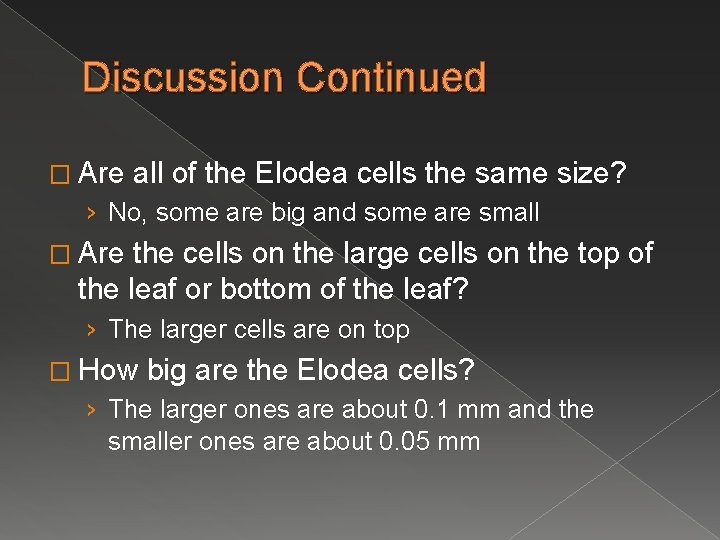 Discussion Continued � Are all of the Elodea cells the same size? › No,