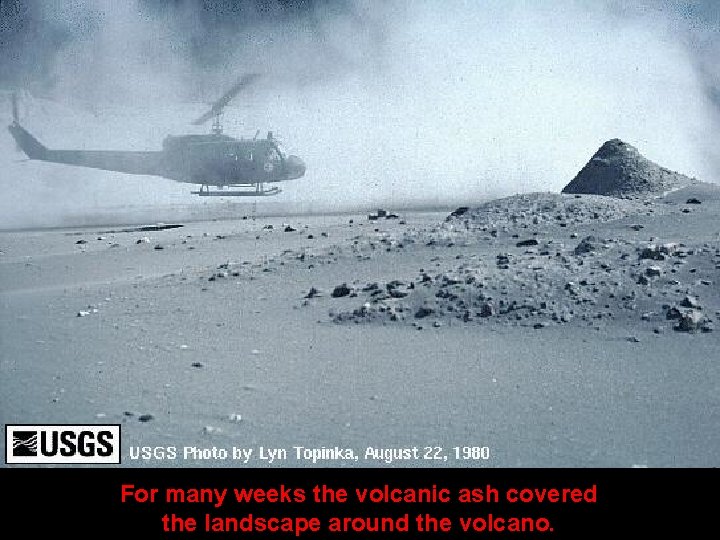 For many weeks the volcanic ash covered the landscape around the volcano. 