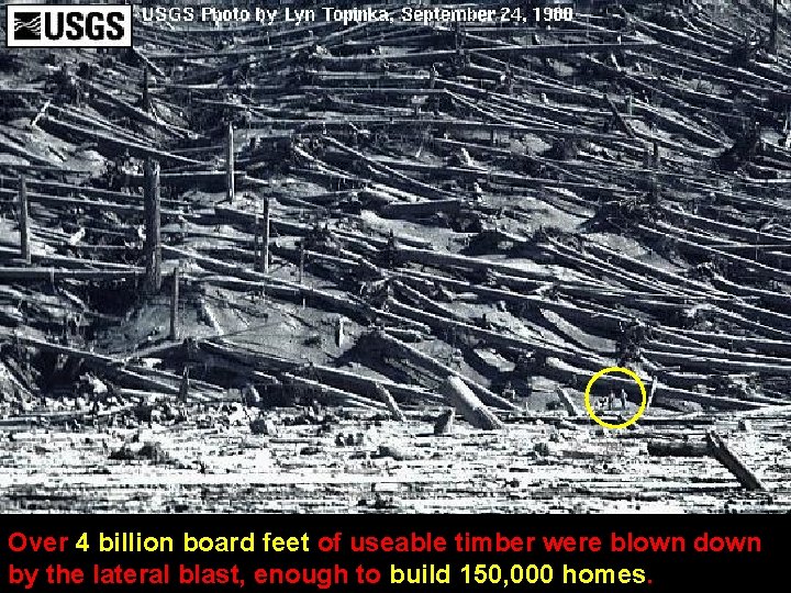 Over 4 billion board feet of useable timber were blown down by the lateral