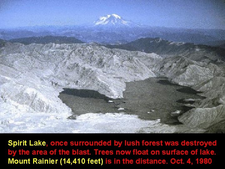 Spirit Lake, once surrounded by lush forest was destroyed by the area of the
