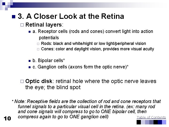 n 3. A Closer Look at the Retina ¨ Retinal layers: n a. Receptor