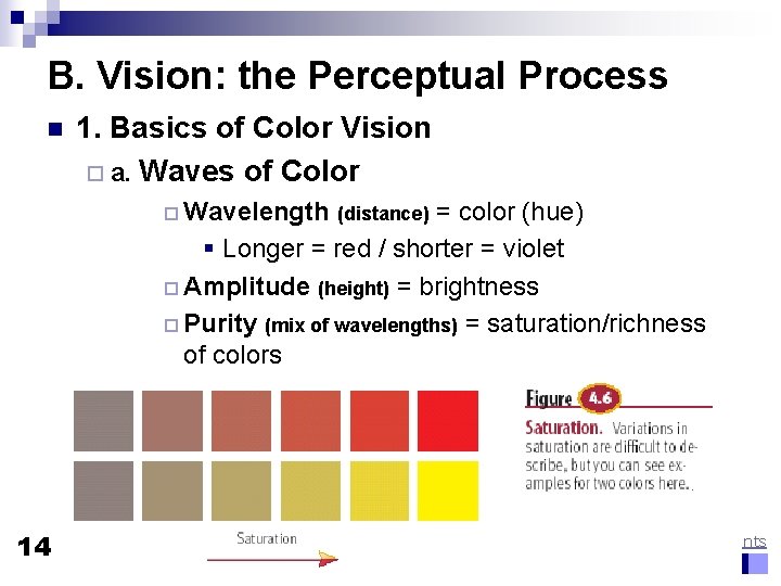 B. Vision: the Perceptual Process n 1. Basics of Color Vision ¨ a. Waves