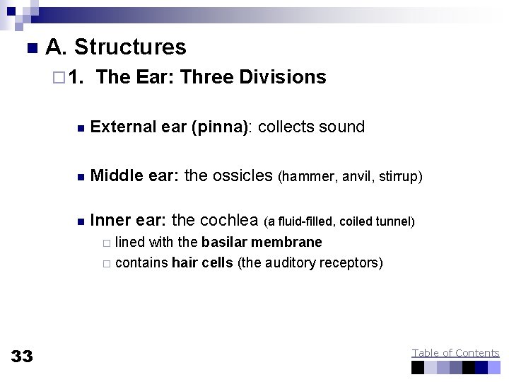 n A. Structures ¨ 1. The Ear: Three Divisions n External ear (pinna): collects