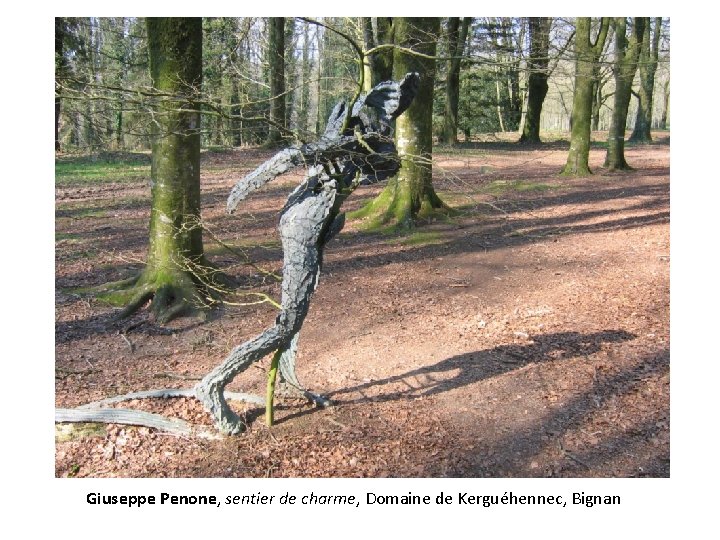 Giuseppe Penone, sentier de charme, Domaine de Kerguéhennec, Bignan 