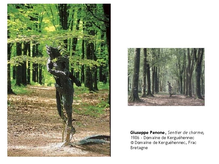 Giuseppe Penone, Sentier de charme, 1986 - Domaine de Kerguéhennec © Domaine de Kerguéhennec,