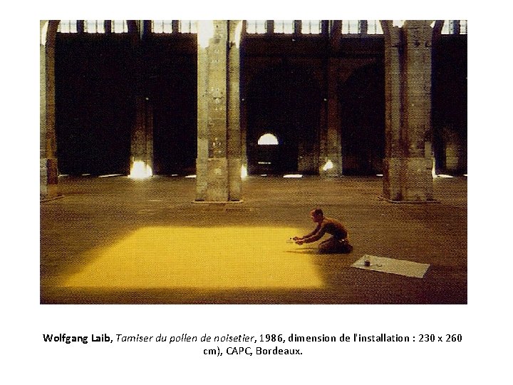 Wolfgang Laib, Tamiser du pollen de noisetier, 1986, dimension de l'installation : 230 x