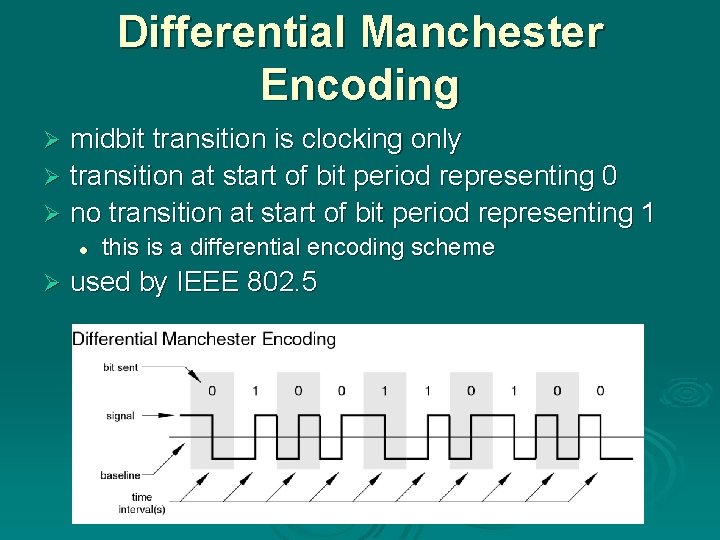 Differential Manchester Encoding midbit transition is clocking only Ø transition at start of bit Differential Manchester Encoding midbit transition is clocking only Ø transition at start of bit