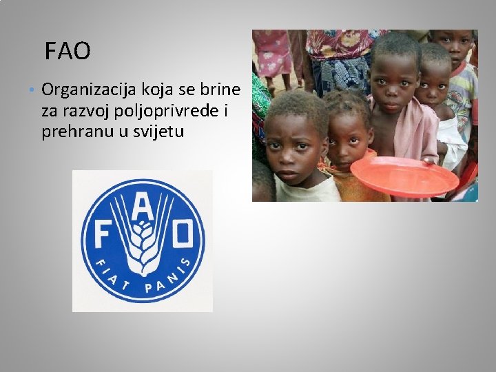 FAO • Organizacija koja se brine za razvoj poljoprivrede i prehranu u svijetu 