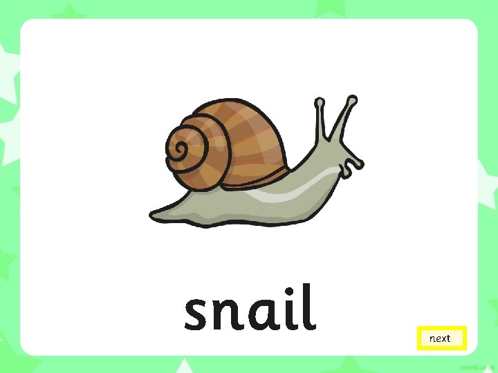 snail next 