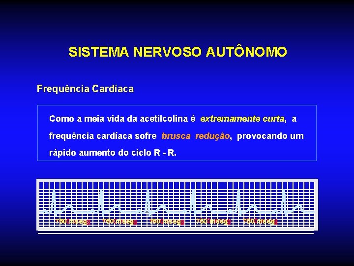 SISTEMA NERVOSO AUTÔNOMO Frequência Cardíaca Como a meia vida da acetilcolina é extremamente curta, SISTEMA NERVOSO AUTÔNOMO Frequência Cardíaca Como a meia vida da acetilcolina é extremamente curta,