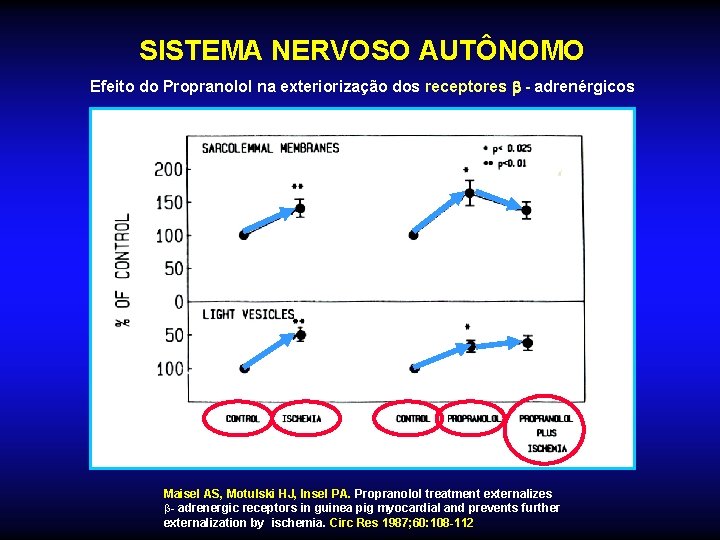 SISTEMA NERVOSO AUTÔNOMO Efeito do Propranolol na exteriorização dos receptores - adrenérgicos Maisel AS,