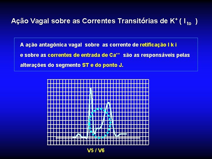 Ação Vagal sobre as Correntes Transitórias de K+ ( I to ) A ação