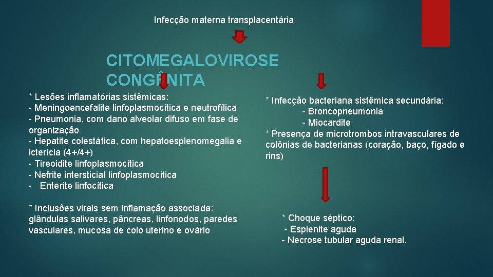 Infecção materna transplacentária CITOMEGALOVIROSE CONGÊNITA * Lesões inflamatórias sistêmicas: - Meningoencefalite linfoplasmocítica e neutrofílica