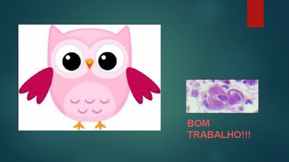 BOM TRABALHO!!! 