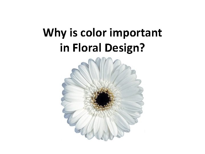 Why is color important in Floral Design? 