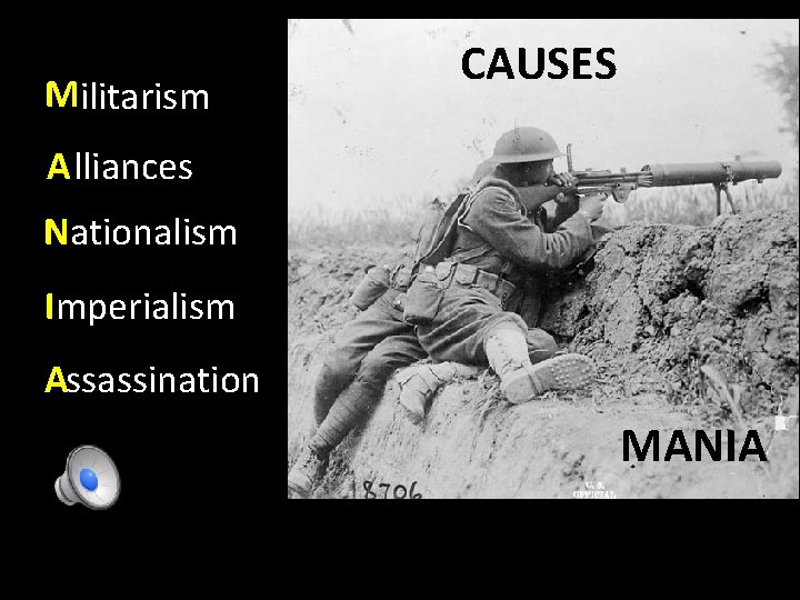 Militarism CAUSES Alliances Nationalism Imperialism Assassination MANIA 