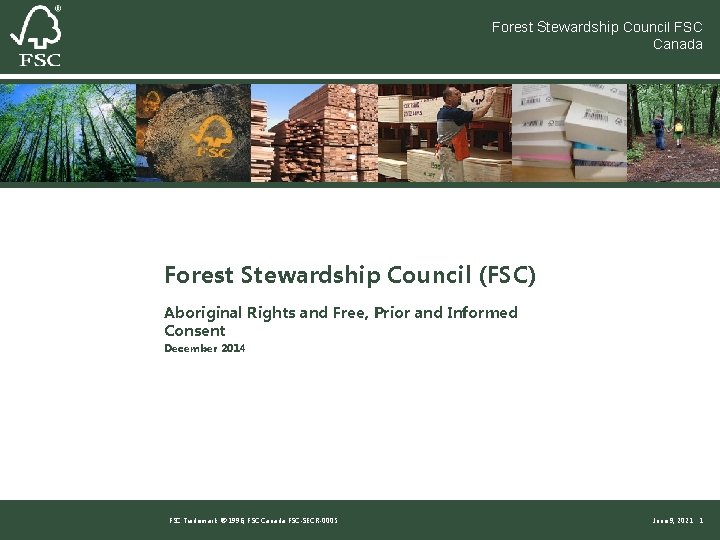 Forest Stewardship Council FSC Canada Forest Stewardship Council (FSC) Aboriginal Rights and Free, Prior