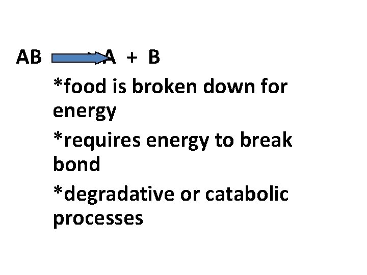 AB -----> A + B *food is broken down for energy *requires energy to AB -----> A + B *food is broken down for energy *requires energy to