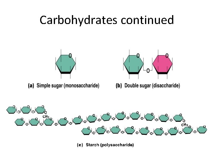 Carbohydrates continued 