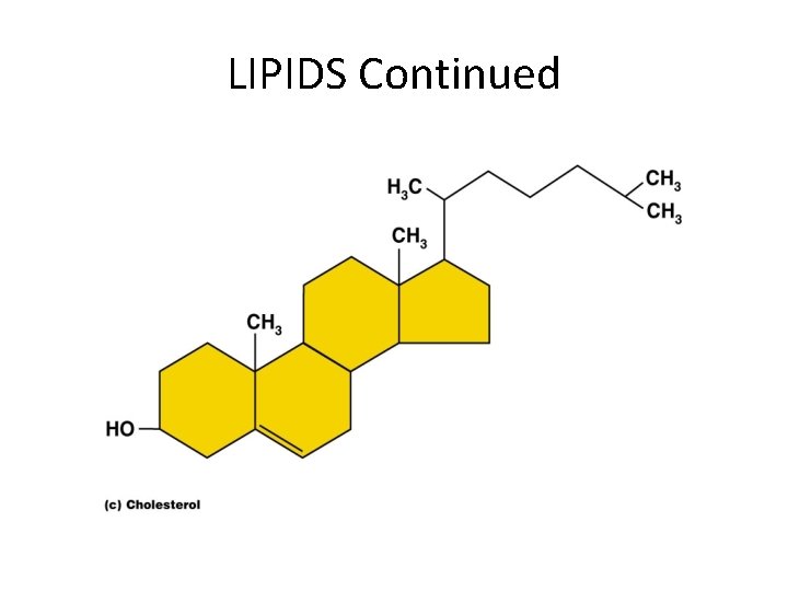 LIPIDS Continued 