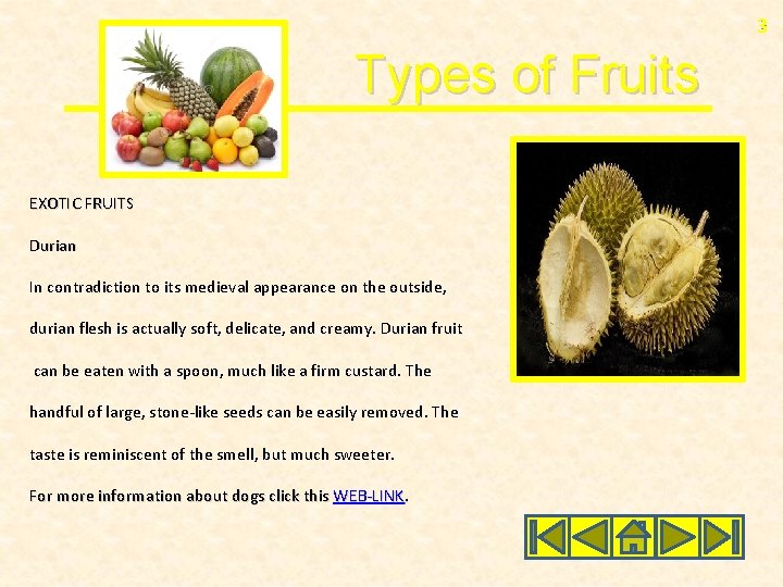 33 Types of Fruits EXOTIC FRUITS Durian In contradiction to its medieval appearance on
