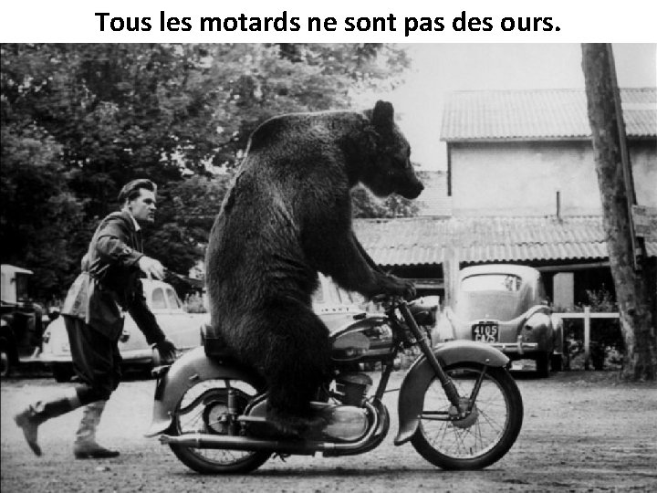 Tous les motards ne sont pas des ours. 