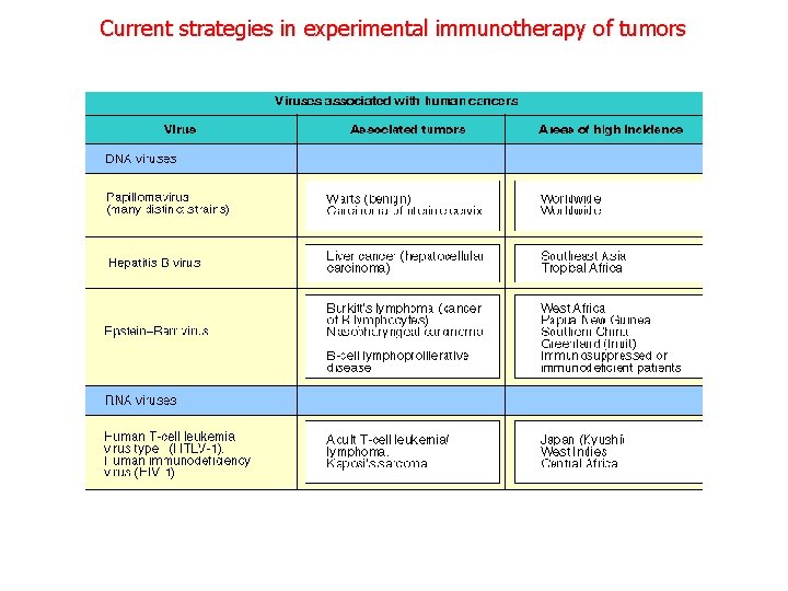 Current strategies in experimental immunotherapy of tumors 