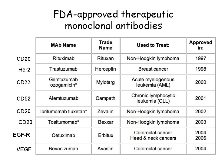 FDA-approved therapeutic monoclonal antibodies CD 20 Her 2 CD 33 CD 52 CD 20