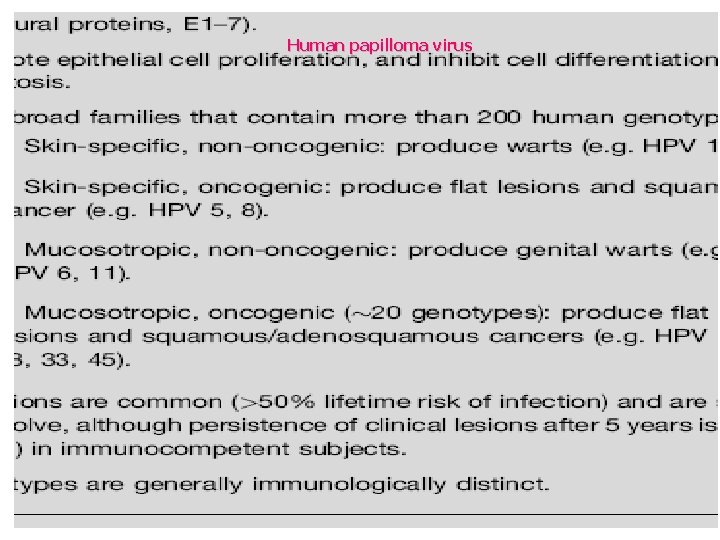 Human papilloma virus 