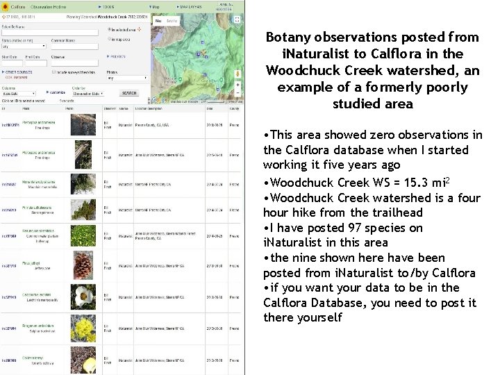 Botany observations posted from i. Naturalist to Calflora in the Woodchuck Creek watershed, an