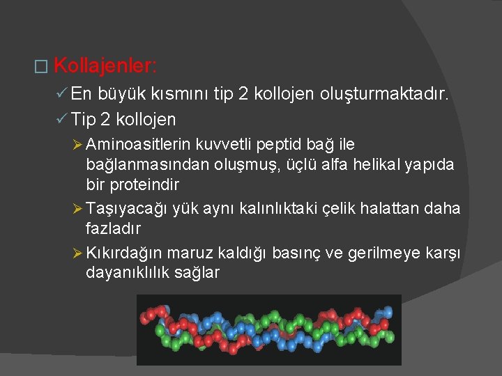 � Kollajenler: ü En büyük kısmını tip 2 kollojen oluşturmaktadır. ü Tip 2 kollojen