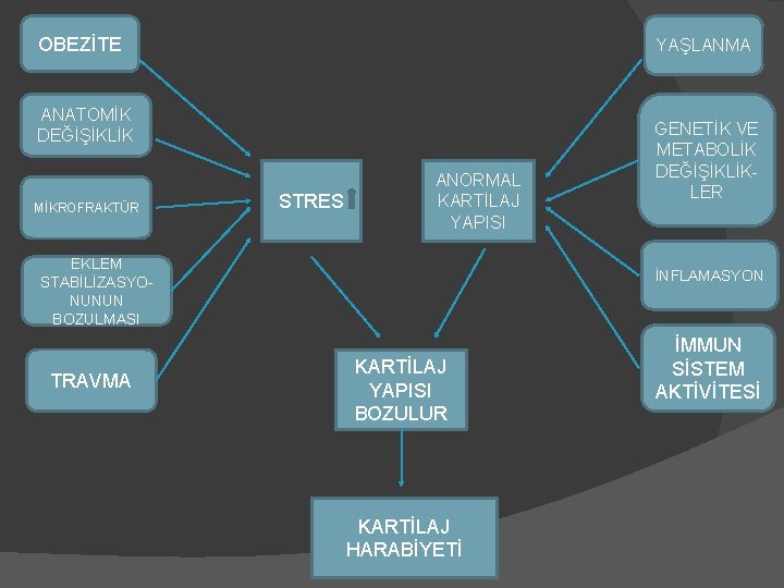 OBEZİTE YAŞLANMA ANATOMİK DEĞİŞİKLİK MİKROFRAKTÜR STRES ANORMAL KARTİLAJ YAPISI EKLEM STABİLİZASYONUNUN BOZULMASI TRAVMA GENETİK