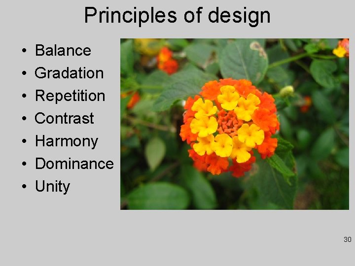 Principles of design • • Balance Gradation Repetition Contrast Harmony Dominance Unity 30 