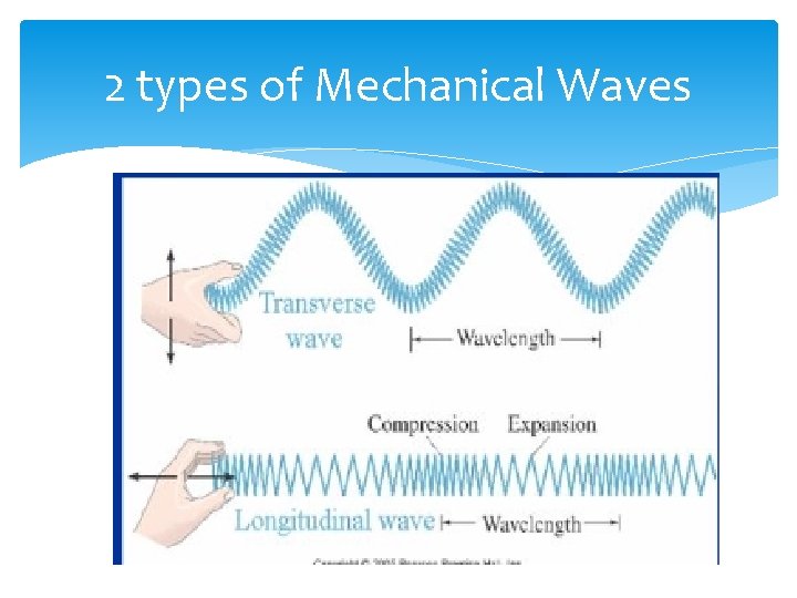 2 types of Mechanical Waves 