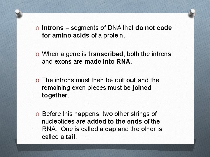 O Introns – segments of DNA that do not code for amino acids of