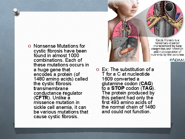O Nonsense Mutations for cystic fibrosis have been found in almost 1000 combinations. Each