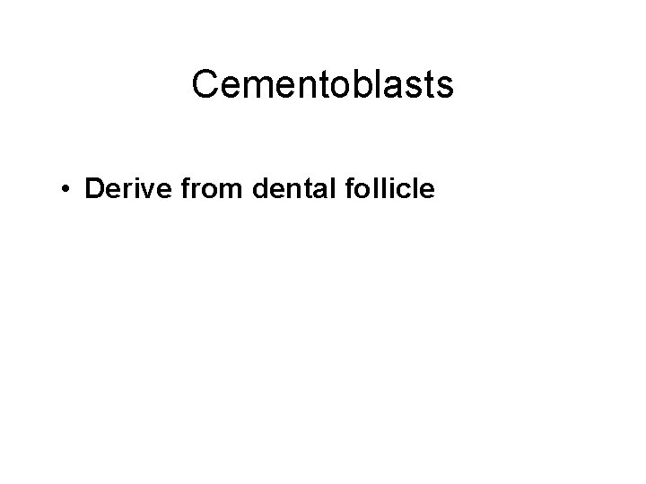 Cementoblasts • Derive from dental follicle Cementoblasts • Derive from dental follicle