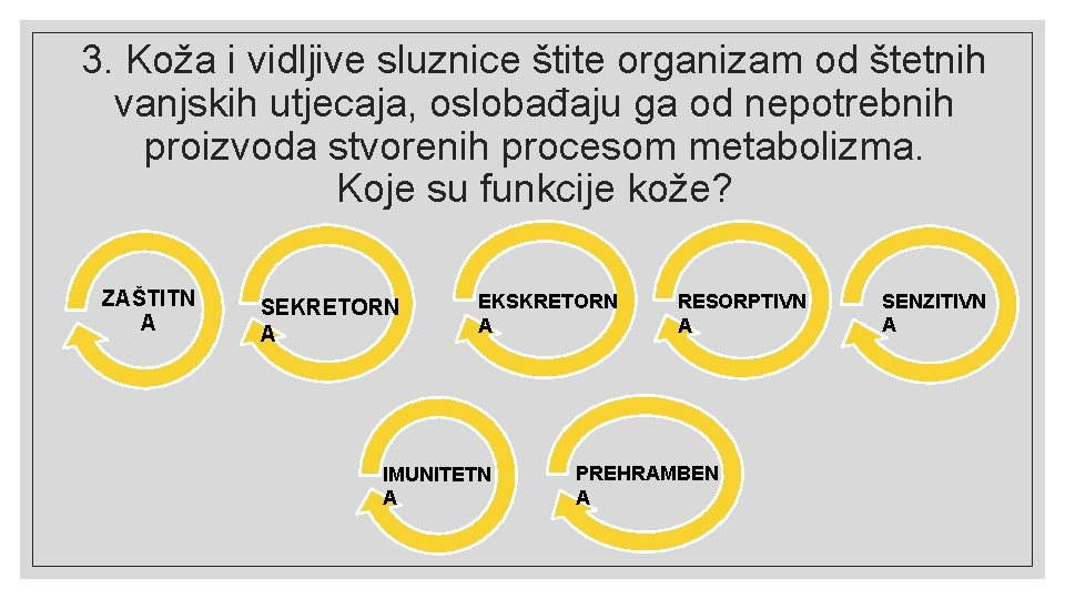 3. Koža i vidljive sluznice štite organizam od štetnih vanjskih utjecaja, oslobađaju ga od