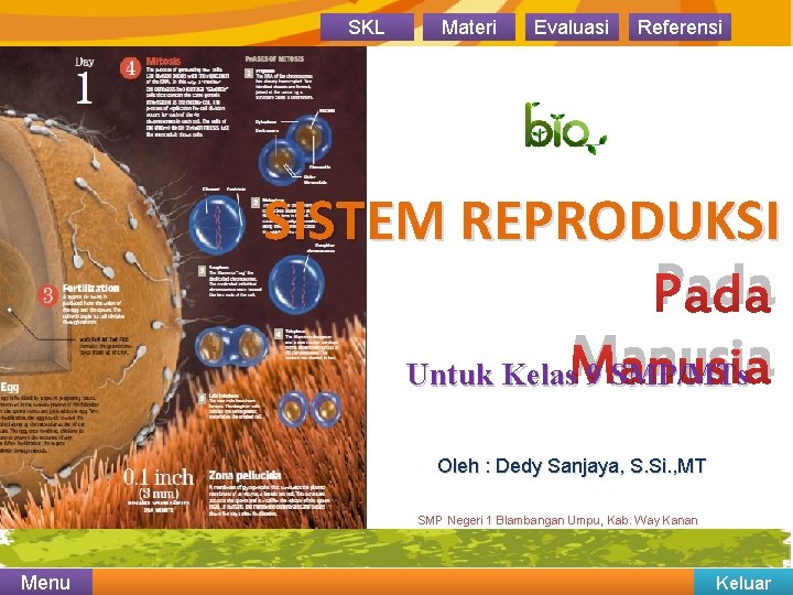 SKL Materi Evaluasi Referensi SISTEM REPRODUKSI Pada Untuk Kelas. Manusia 9 SMP/MTs Oleh : SKL Materi Evaluasi Referensi SISTEM REPRODUKSI Pada Untuk Kelas. Manusia 9 SMP/MTs Oleh :