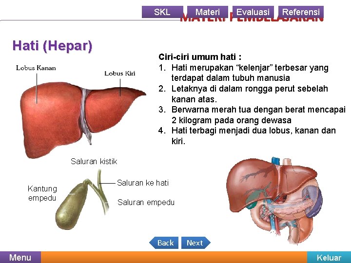 SKL Hati (Hepar) Materi Evaluasi Referensi MATERI PEMBELAJARAN Ciri-ciri umum hati : 1. Hati