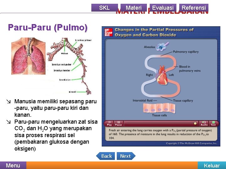 SKL Materi Evaluasi Referensi MATERI PEMBELAJARAN Paru-Paru (Pulmo) ↘ Manusia memiliki sepasang paru -paru,