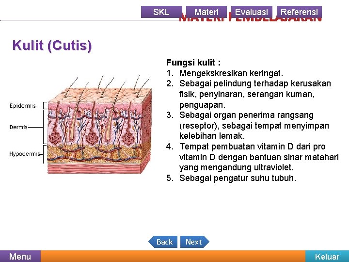 SKL Materi Evaluasi Referensi MATERI PEMBELAJARAN Kulit (Cutis) Fungsi kulit : 1. Mengekskresikan keringat.