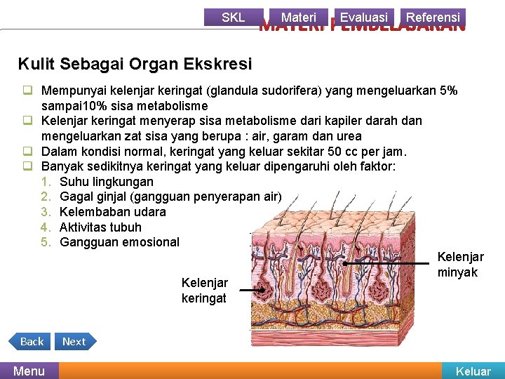 SKL Materi Evaluasi Referensi MATERI PEMBELAJARAN Kulit Sebagai Organ Ekskresi q Mempunyai kelenjar keringat