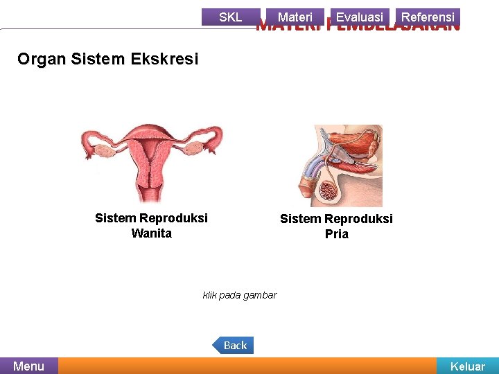 SKL Materi Evaluasi Referensi MATERI PEMBELAJARAN Organ Sistem Ekskresi Sistem Reproduksi Wanita Sistem Reproduksi SKL Materi Evaluasi Referensi MATERI PEMBELAJARAN Organ Sistem Ekskresi Sistem Reproduksi Wanita Sistem Reproduksi